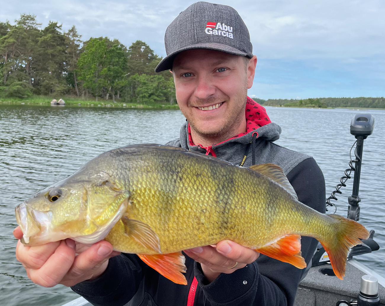 Attitude Baits DropShot Weights Stick